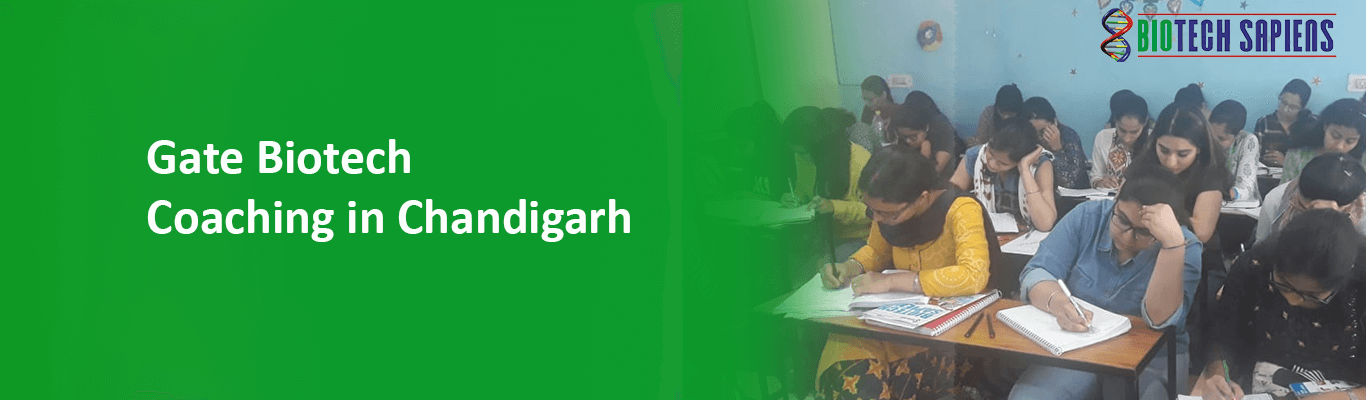 Gate-Biotech-Coaching