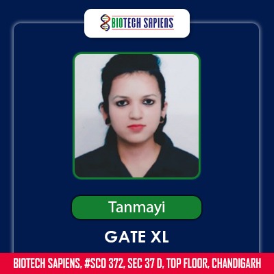 TANMAYI
