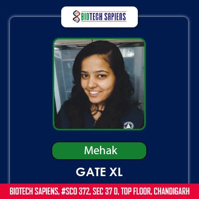 mehak-gate